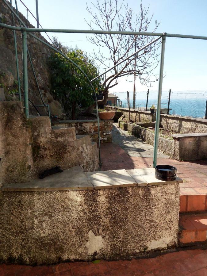 Casa Picasso Apartman Genova Kültér fotó