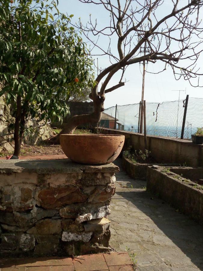 Casa Picasso Apartman Genova Kültér fotó
