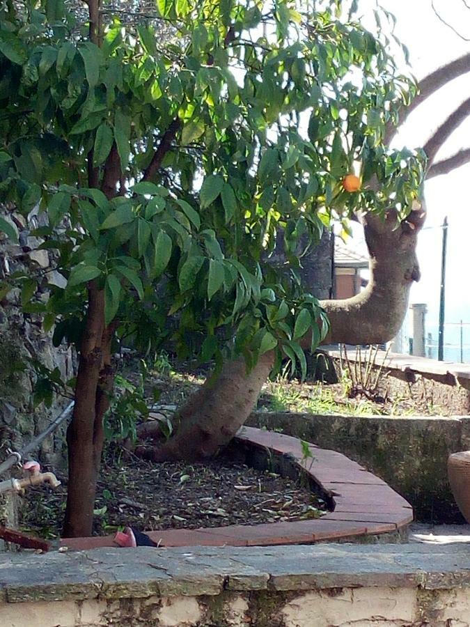Casa Picasso Apartman Genova Kültér fotó